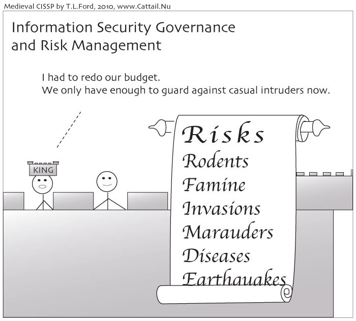 Information Security Governance and Risk Management Cartoon
