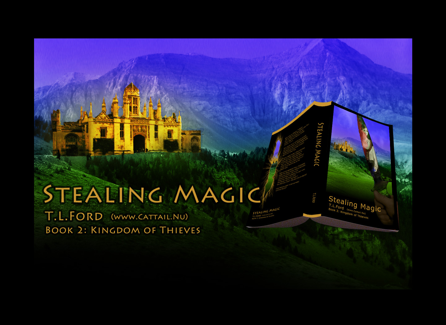 Stealing Magic book by T. L. Ford