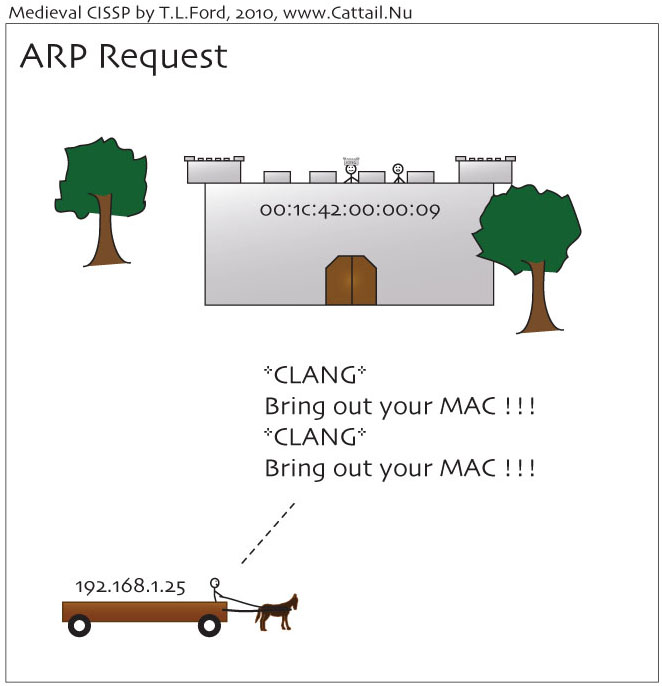 ARP Request Cartoon