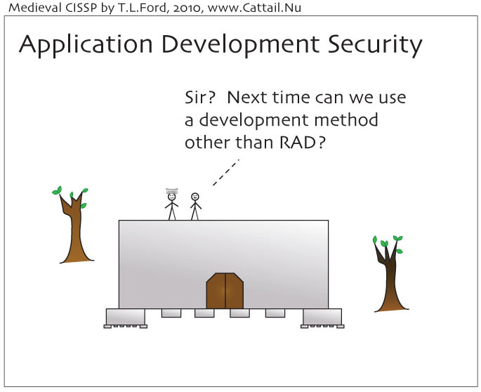 Application Development Cartoon