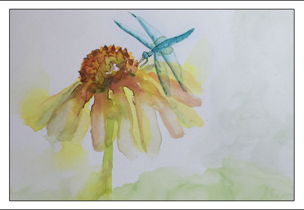 dragonfly watercolor