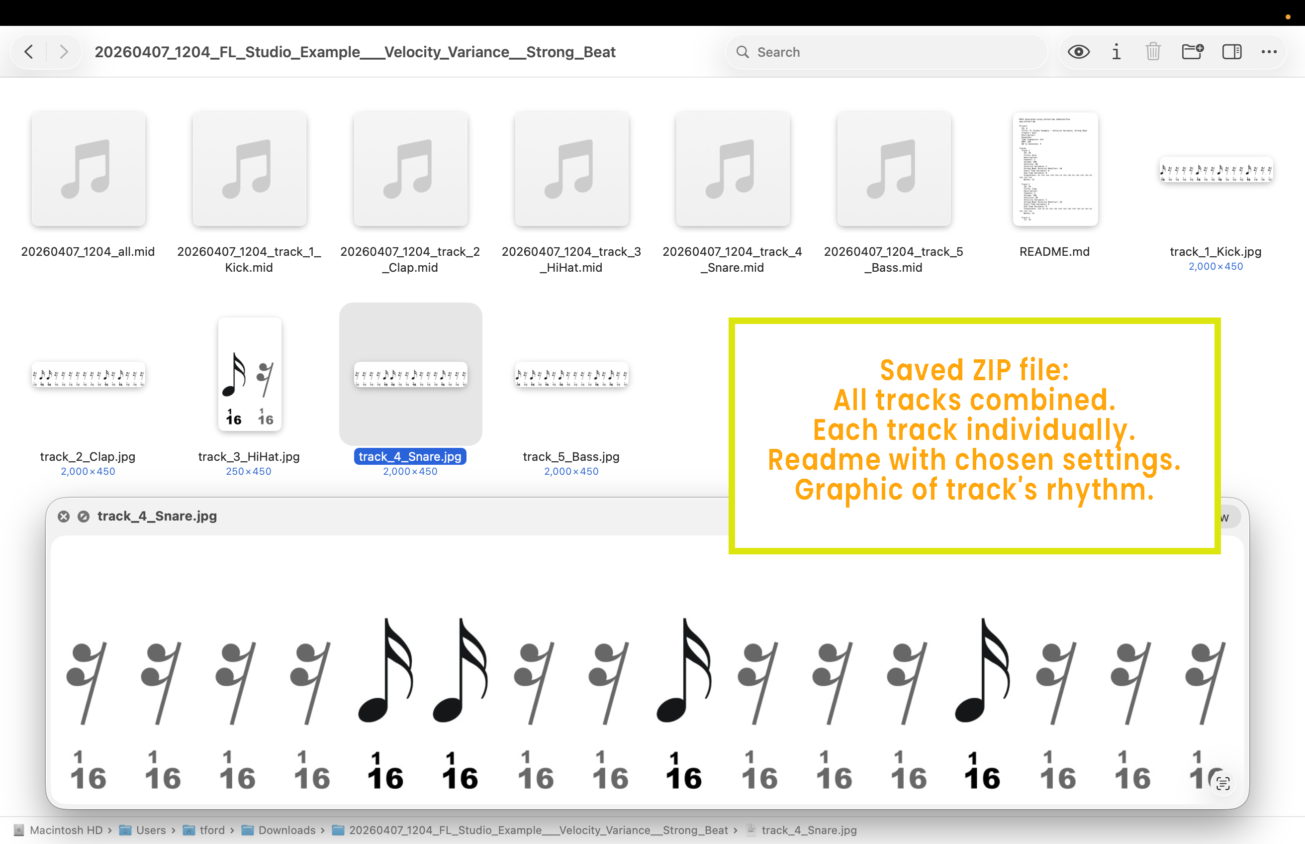 ZIP contents produced by the velocity variance and strong beat example.